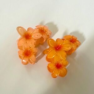 Set of two hair clips